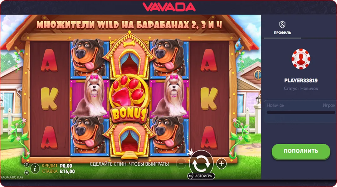 vavada the dog house
